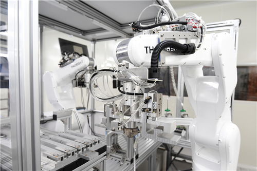 小膠囊沿西部陸海新通道遠航，數字技術賦能重慶企業造福全球